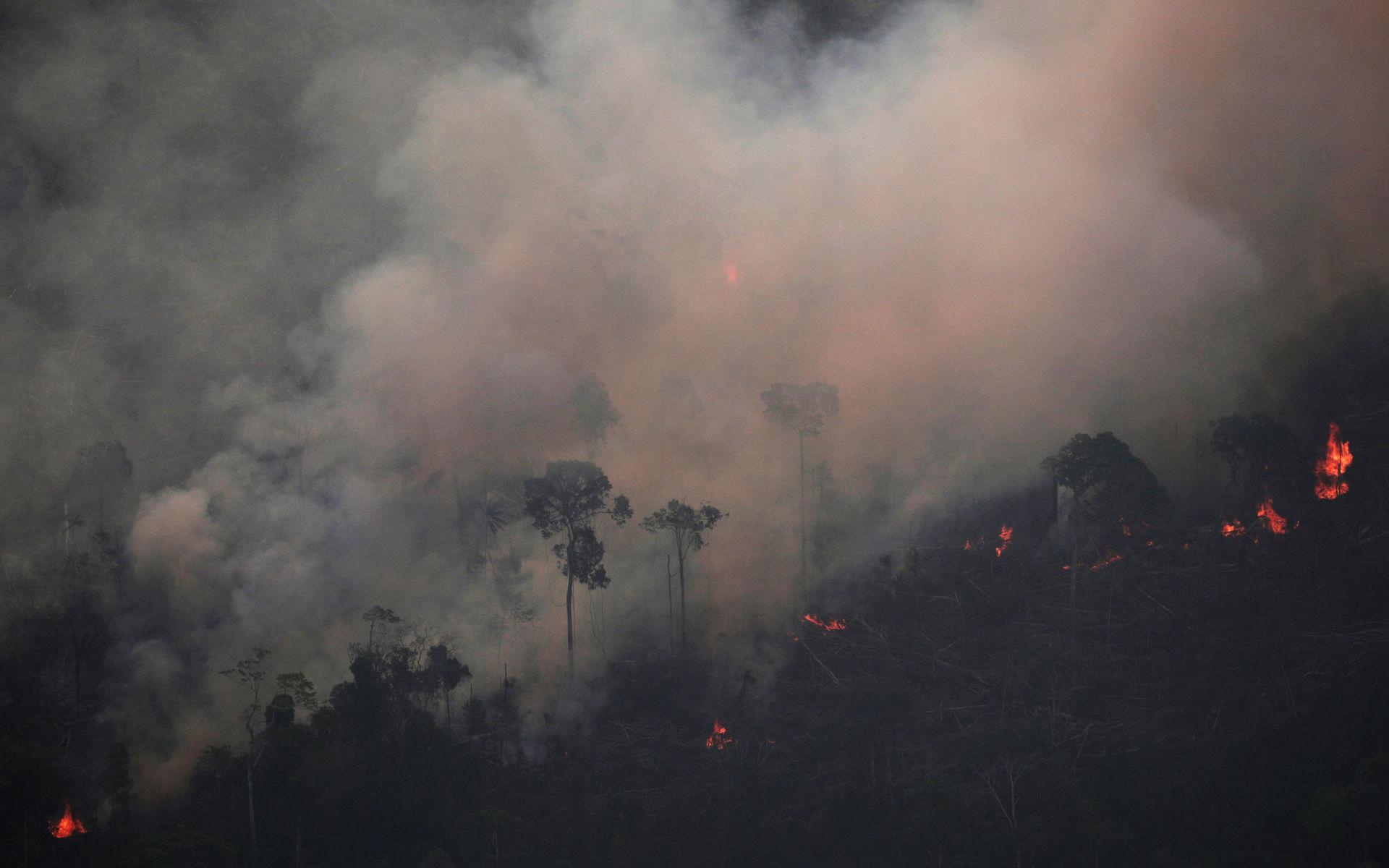 En av skogsbränderna i Amazonas rasar nära Porto Velho i Brasilien.