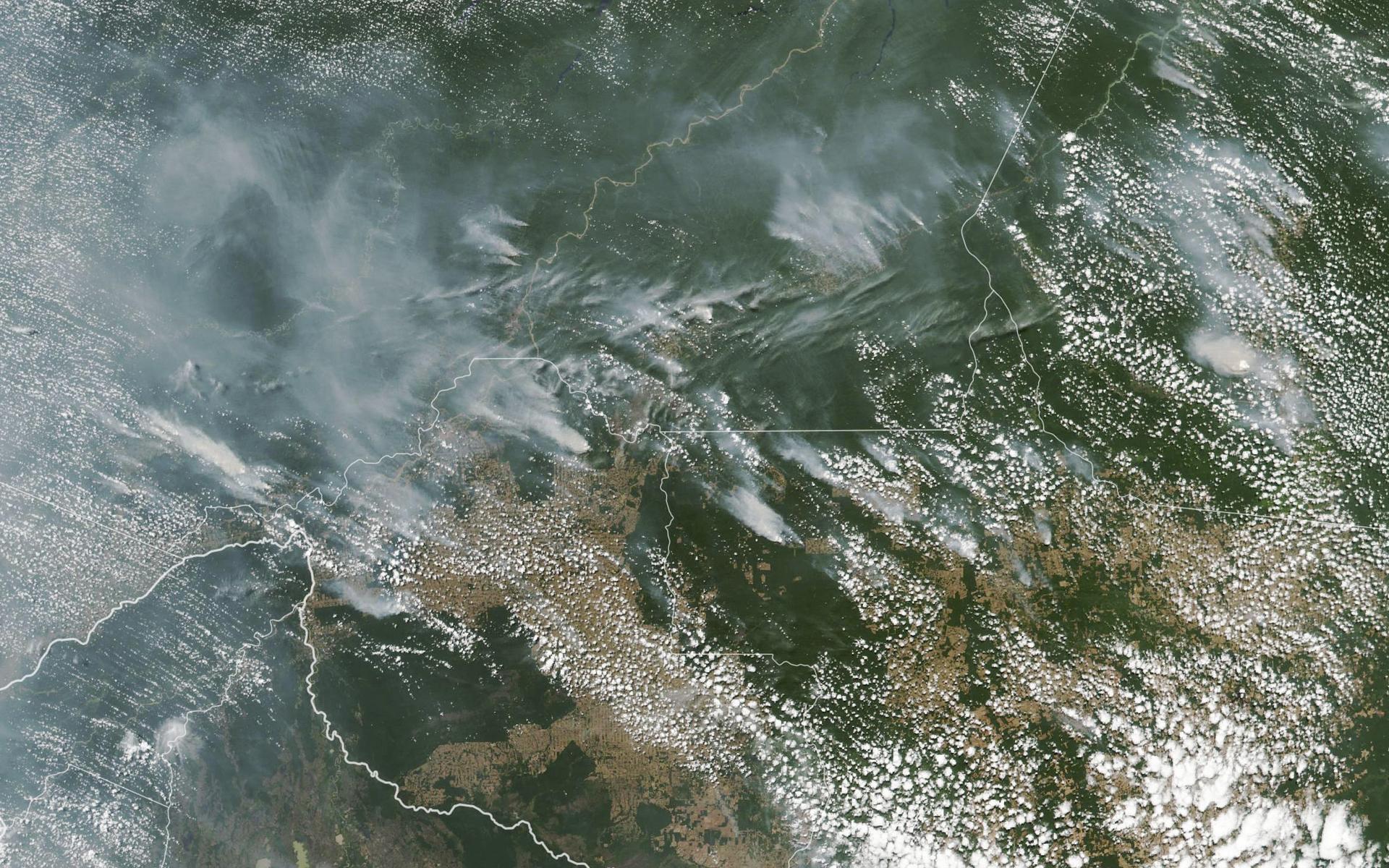 Satellitbilder visar flera bränder i Amazonas. I den vänstra nedre delen av bilden syns Bolivia.