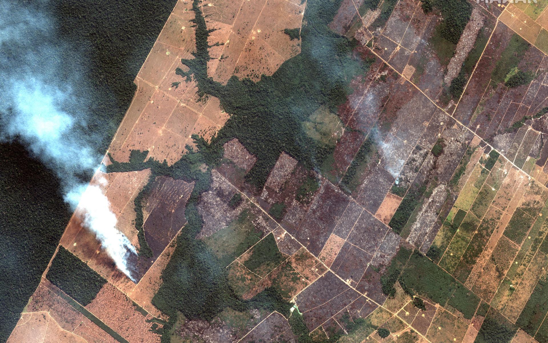Satellitbild över Amazonflodens övre delar.