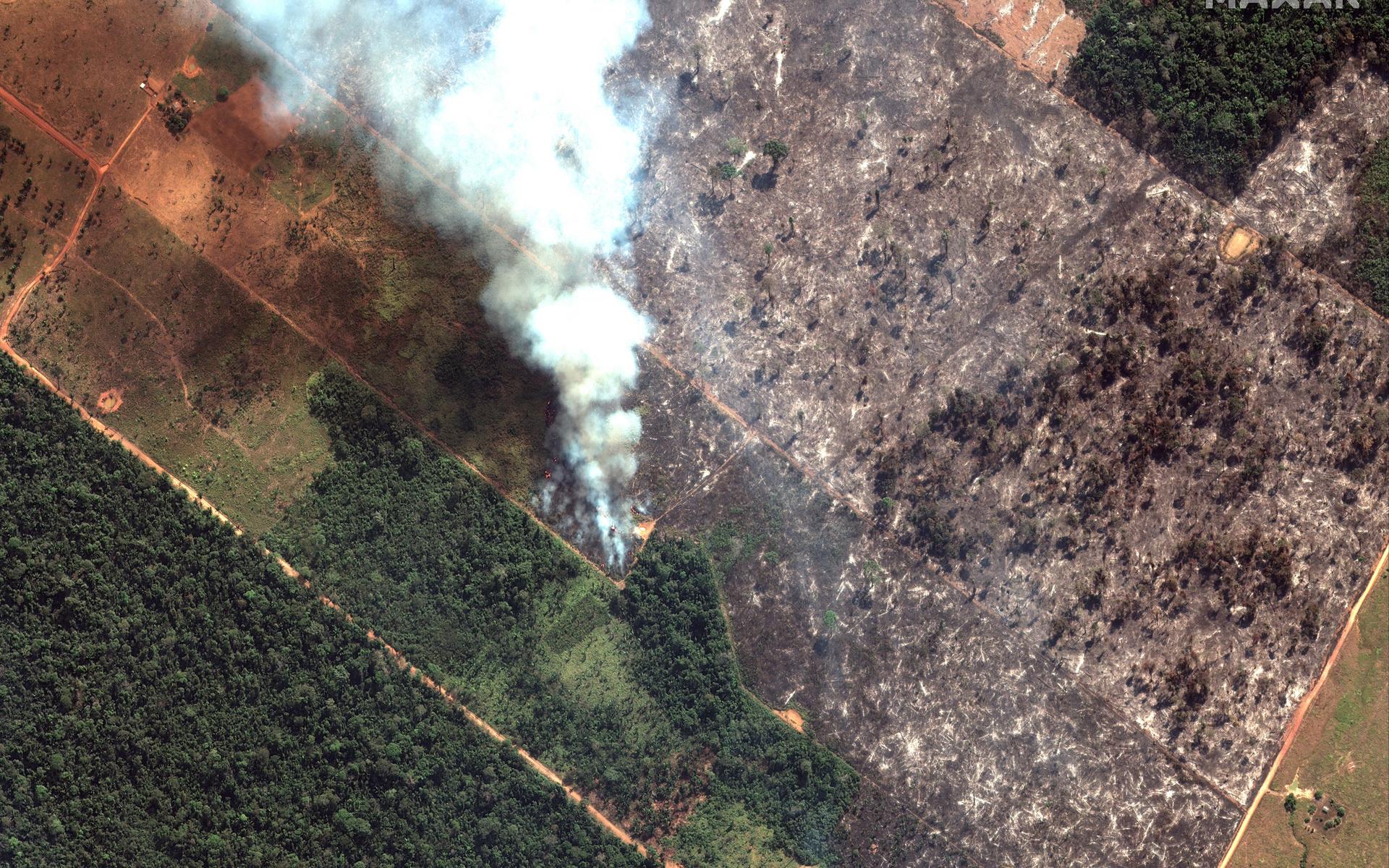 Brasiliens nationella institut för rymdforskning, som även övervakar avskogning och skogsbränder, uppger att 2019 varit ett rekordår för skogsbränder.
