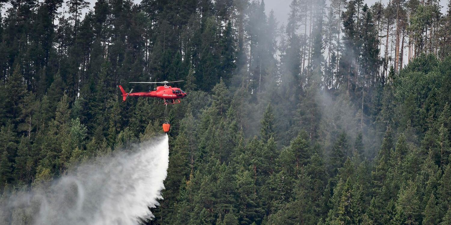 En helikopter samlar vatten under en skogsbrand i Jämtland sommaren 2018. Arkivbild.