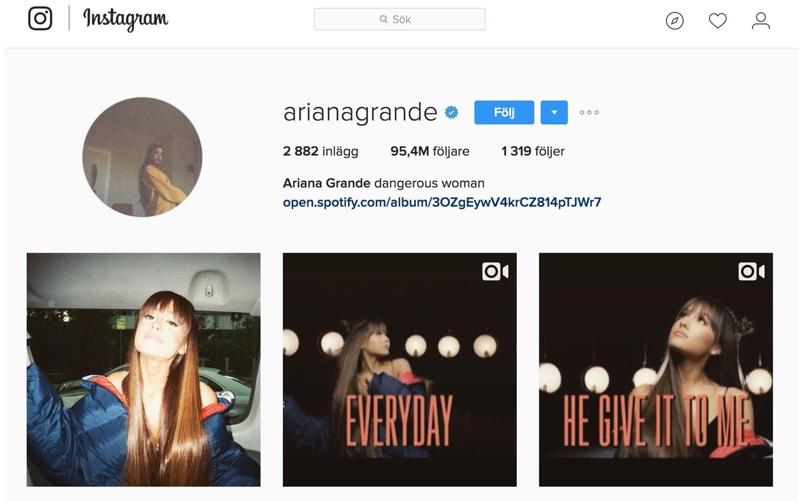 Artisten Ariana Grande har 95,3 miljoner följare och följer själv 1319 konton. Foto: Skärmdump från Instagram