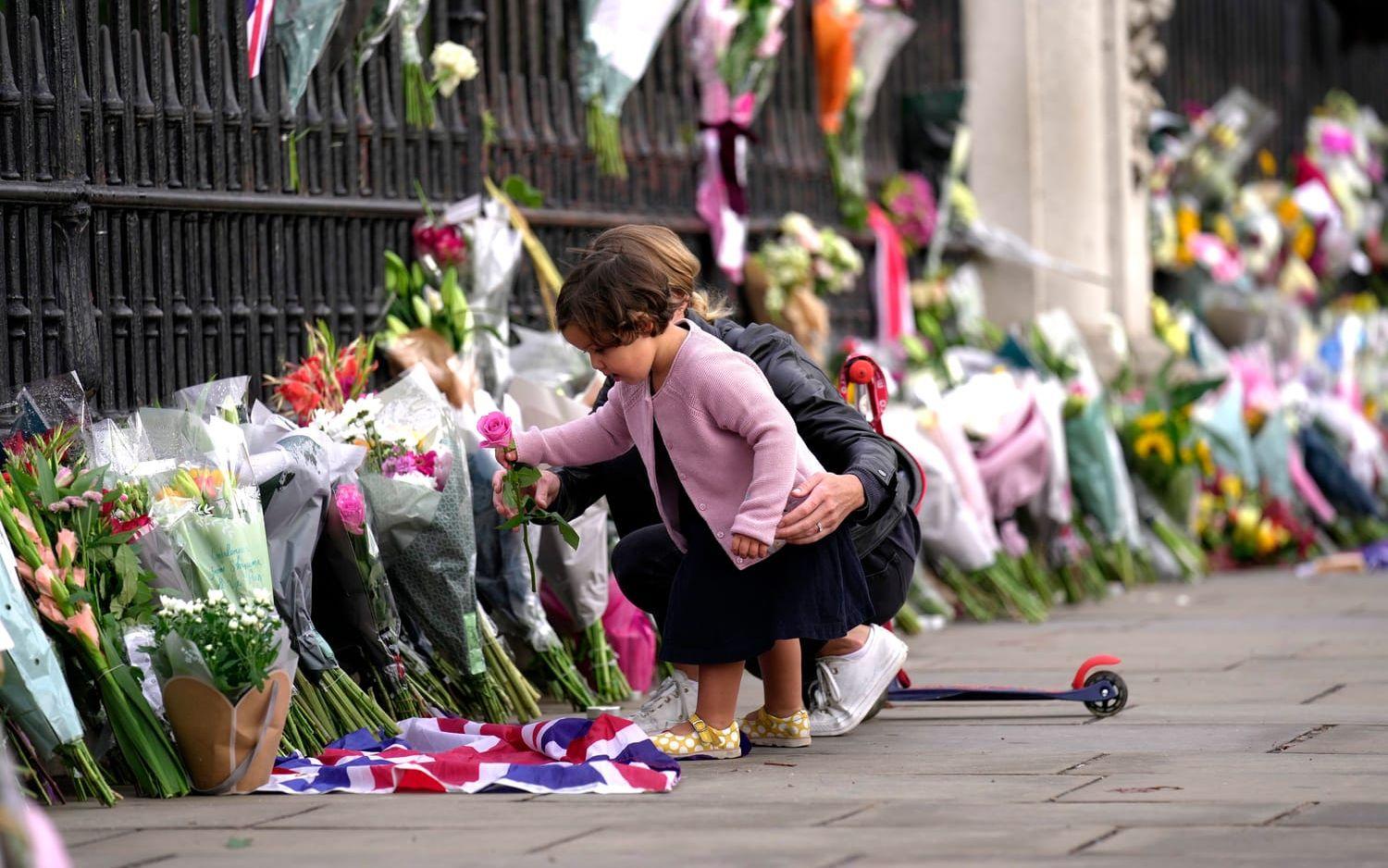 En flicka lämnar en blomma utanför Buckingham Palace på fredagmorgonen.