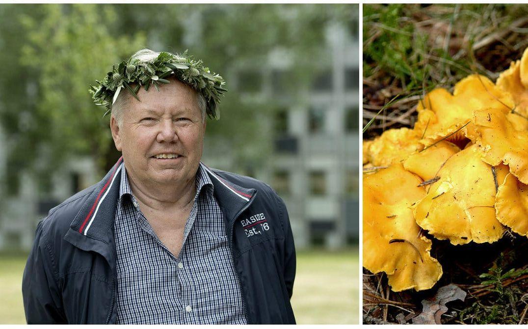 "Det går inte att gå i skog där det växer blåbär och lingon." säger Bert Karlsson. Foto: TT.