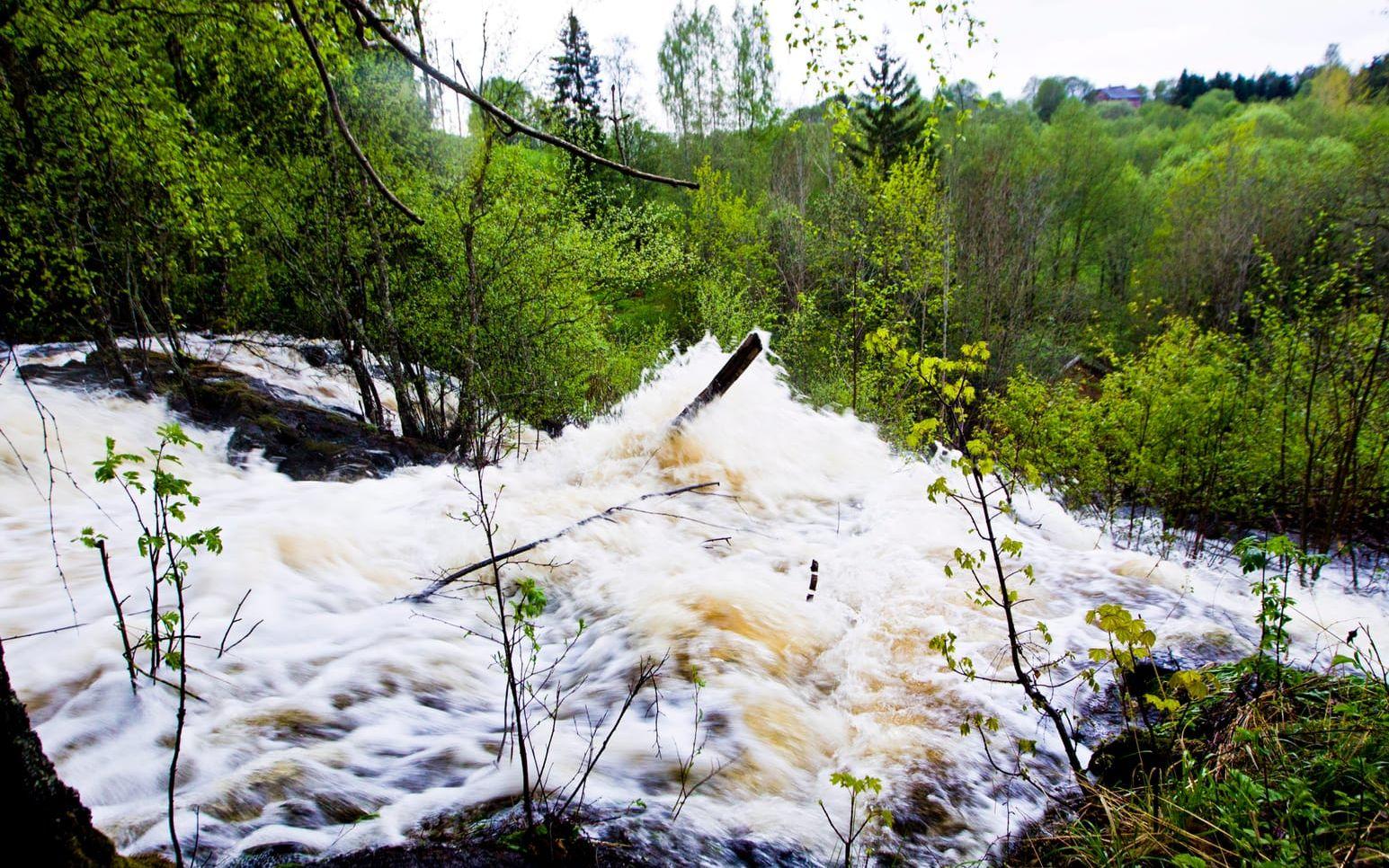 En svag vårflod ger klart högre elpriser visar Bixias prognos för maj och juni. Arkivbild.