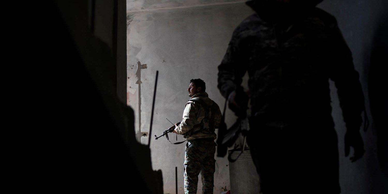 SDF-milis genomsöker en byggnad i byn Baghouz på lördagen.