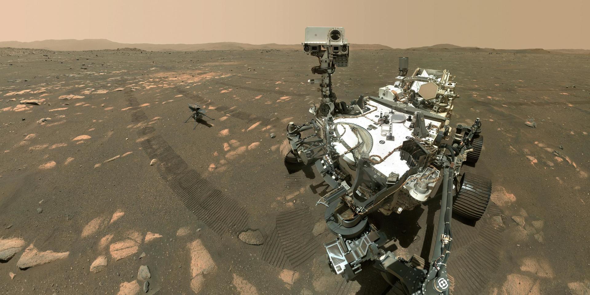 Marsrovern Perseverance och minihelikoptern Ingenuity på Mars yta.
