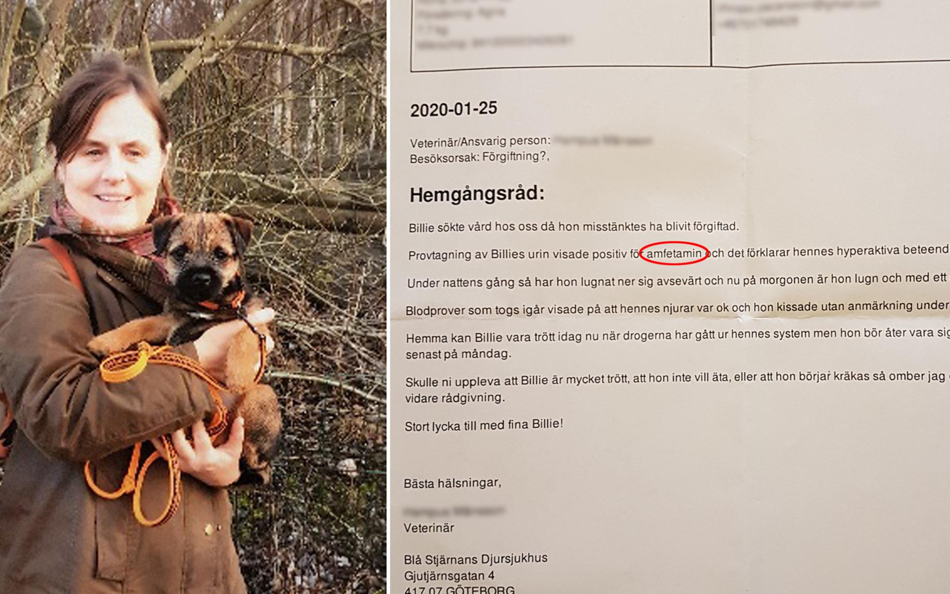 Christin Oskarsson Norlén skaffade hund nu när hon hade slutat att arbeta. Billie kom till henne när hon var åtta veckor. ”Jag har alltid längtat efter en hund.”