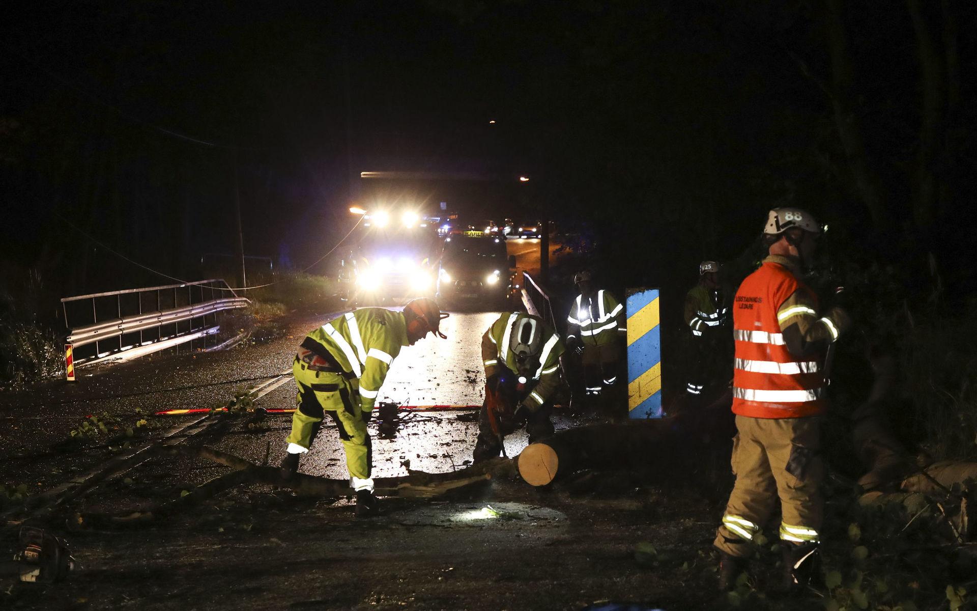 Ett stort träd föll över en bil i Göteborg under stormen Knuds framfart.