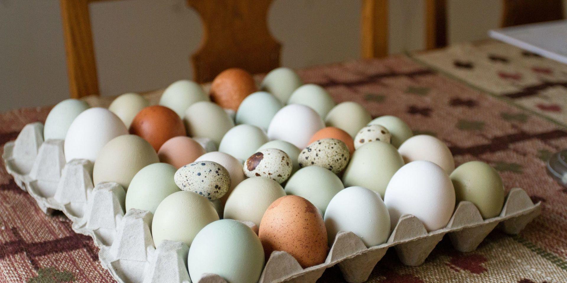 Under helgen har det kommit ett stort antal larm om äggkastning till polisen.