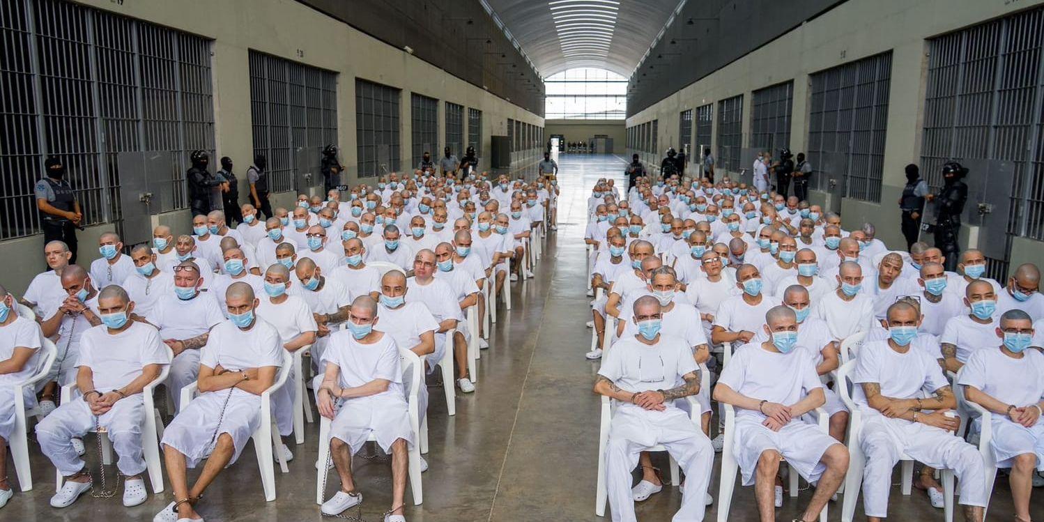 Fångar i massrättegång i El Salvador. 