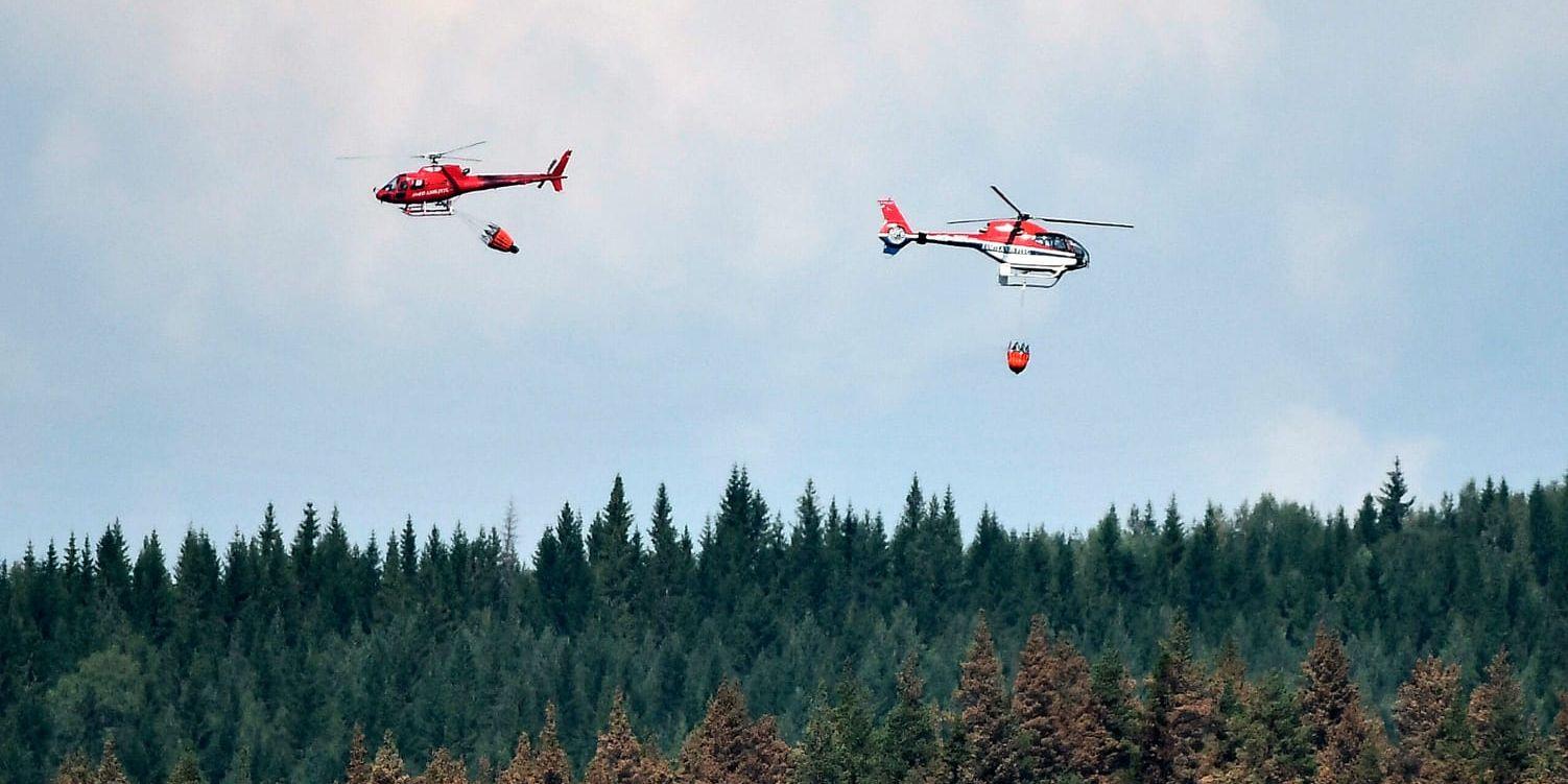 Två helikoptrar vattenbombar skogsbranden på Grötingenberget i Jämtland i somras. Arkivbild.