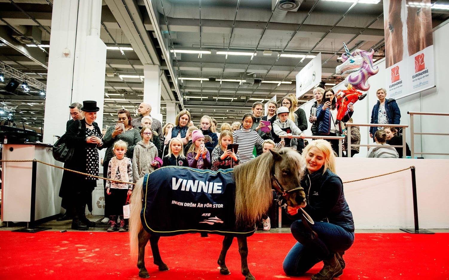 Fansen trängdes när minihästen Vinnie besökte Eurohorse-mässan. Bild: Anna Svanberg