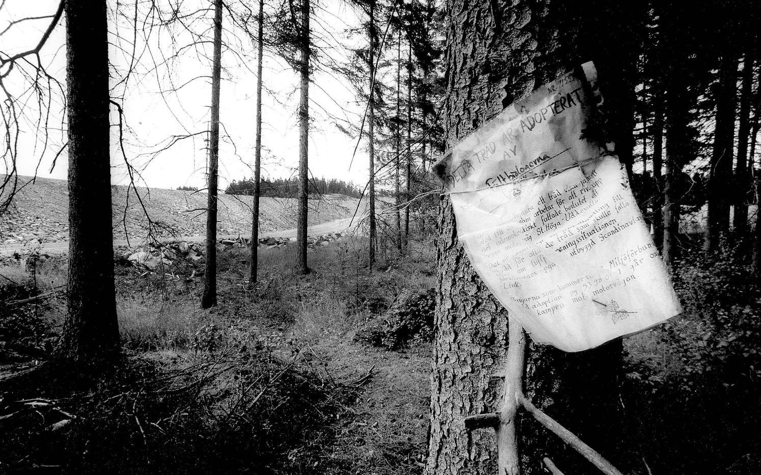 Adoption. 1989 07 17. Fältbiologerna adopterade träd i Ödsmålsdalen i förhoppningen om att de skulle få stå kvar.
