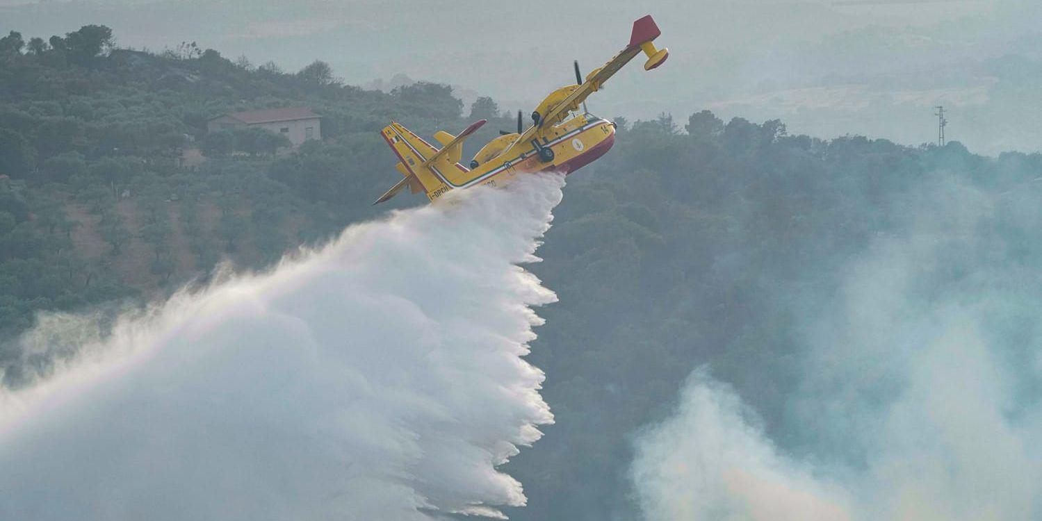 Ett flygplan vattenbombar en brand nära Oristano på Sardinien i början av veckan.