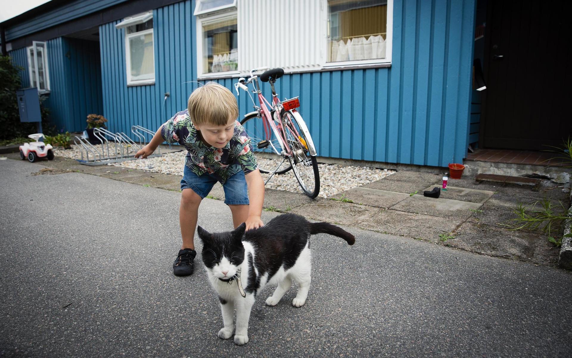 När grannens katt kommer förbi på gården, stannar Malte för att klappa den. ”En kort promenad tar ofta väldigt lång tid” säger Catarina Dudas.