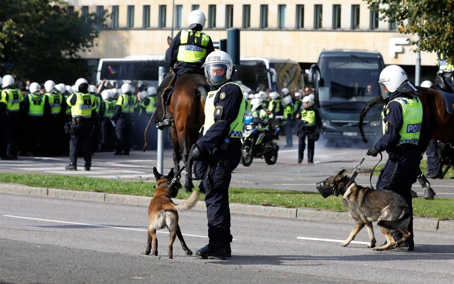 Enligt polisen är hundarna och hästarna något som förstärker polisnärvaron. Foto: GP