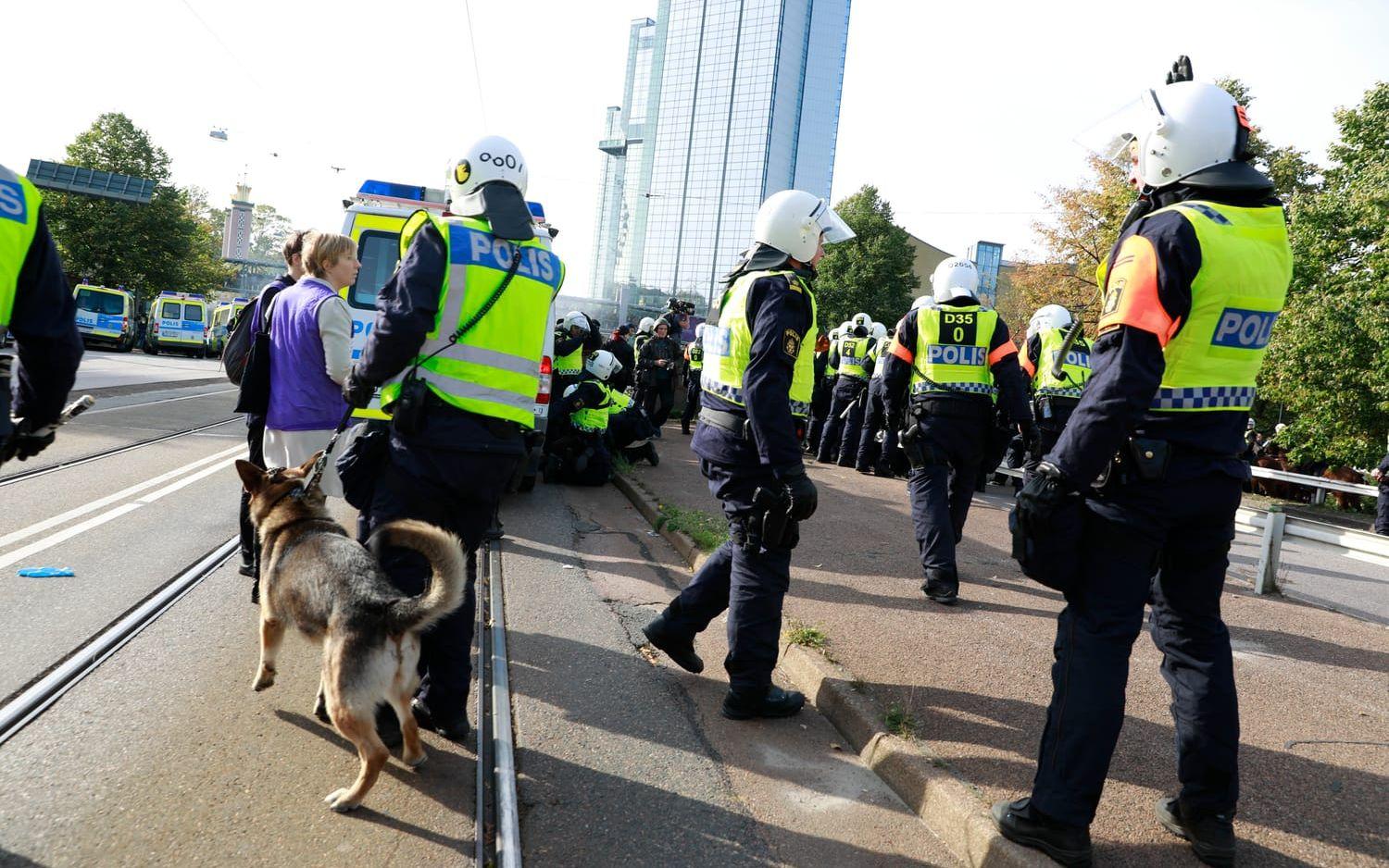 "De är psykiskt stabila, annars skulle de inte fungera som polishundar", säger Christer Fuxborg. Foto: GP