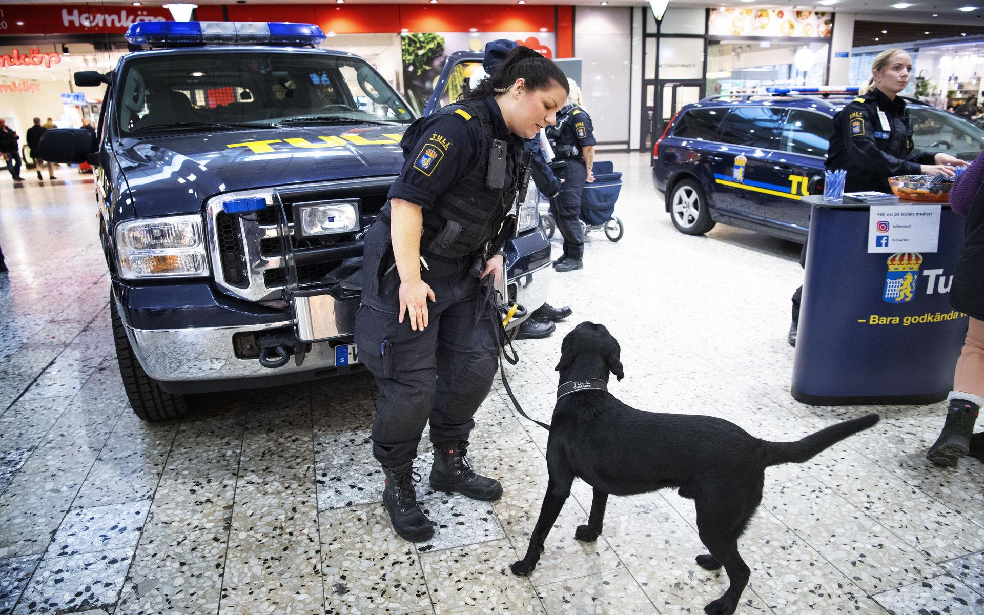 Annelie Lengfelt är hundförare på Tullverket och har med hjälp av labradoren Harry kunnat avslöja större partier narkotika som kriminella försökt smuggla in i Sverige.