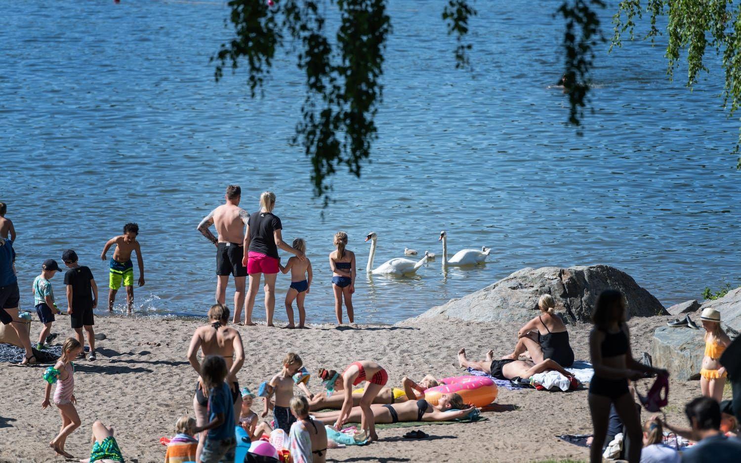 SMHI meddelar om kommande höga temperaturer i stora delar av landet de närmaste dagarna. Arkivbild.