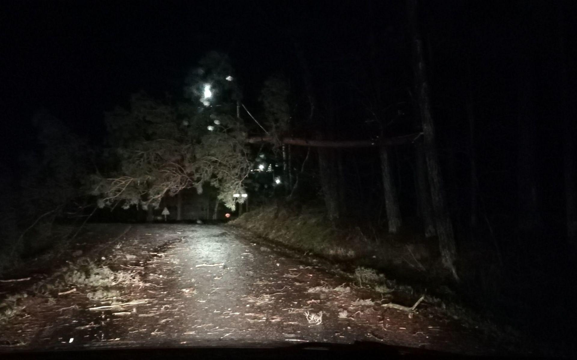Ett träd har knäckts vid Lexbydalsvägen i Partille.