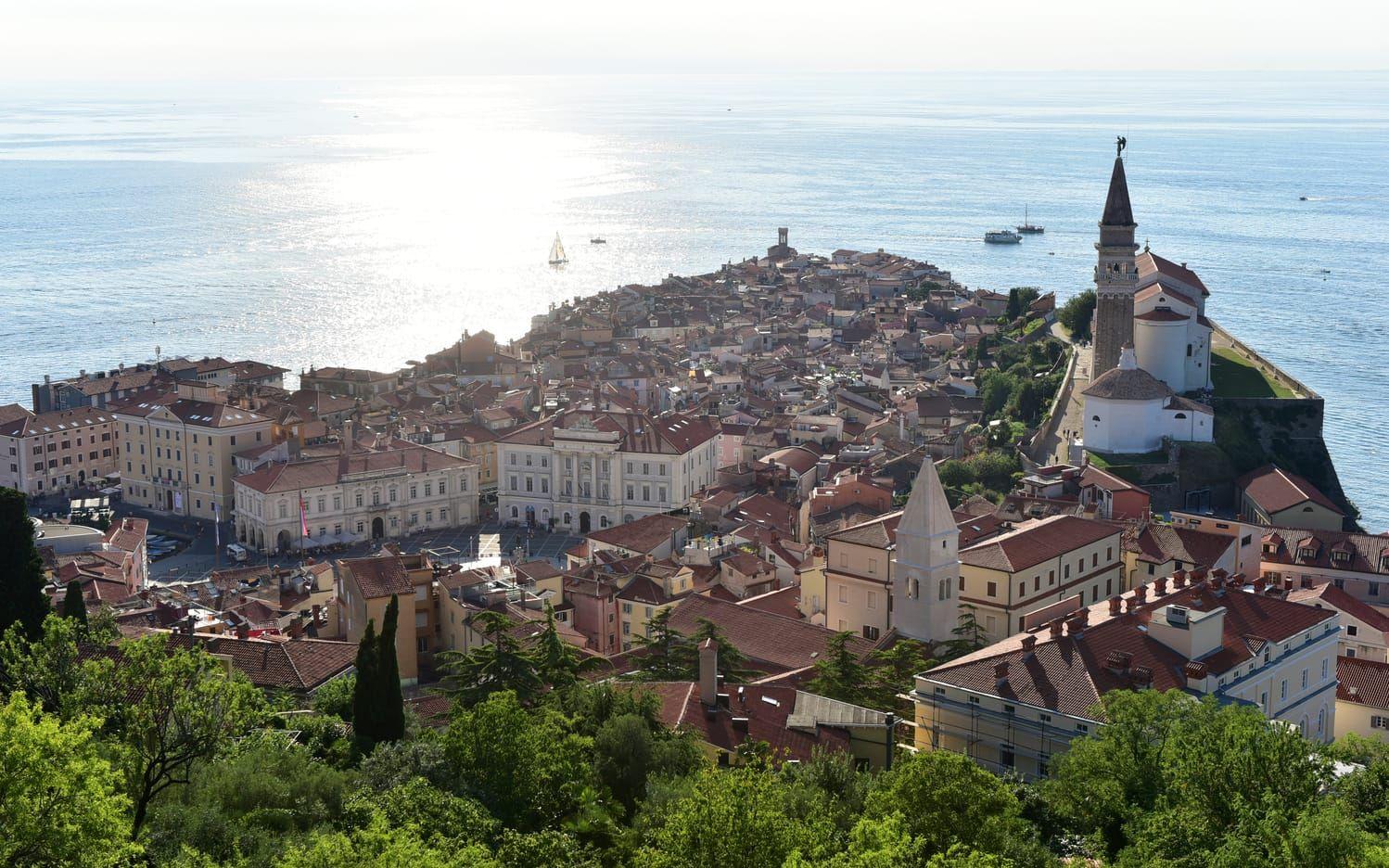 Piran är den vackraste och mest historiskt anrika av Sloveniens kuststäder. Foto: Anders Pihl.