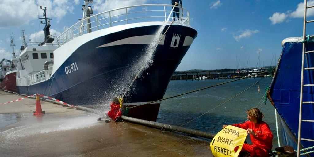 2008 hindrade Greenpeace fiskefartyget Nordic IV att lämna hamnen.