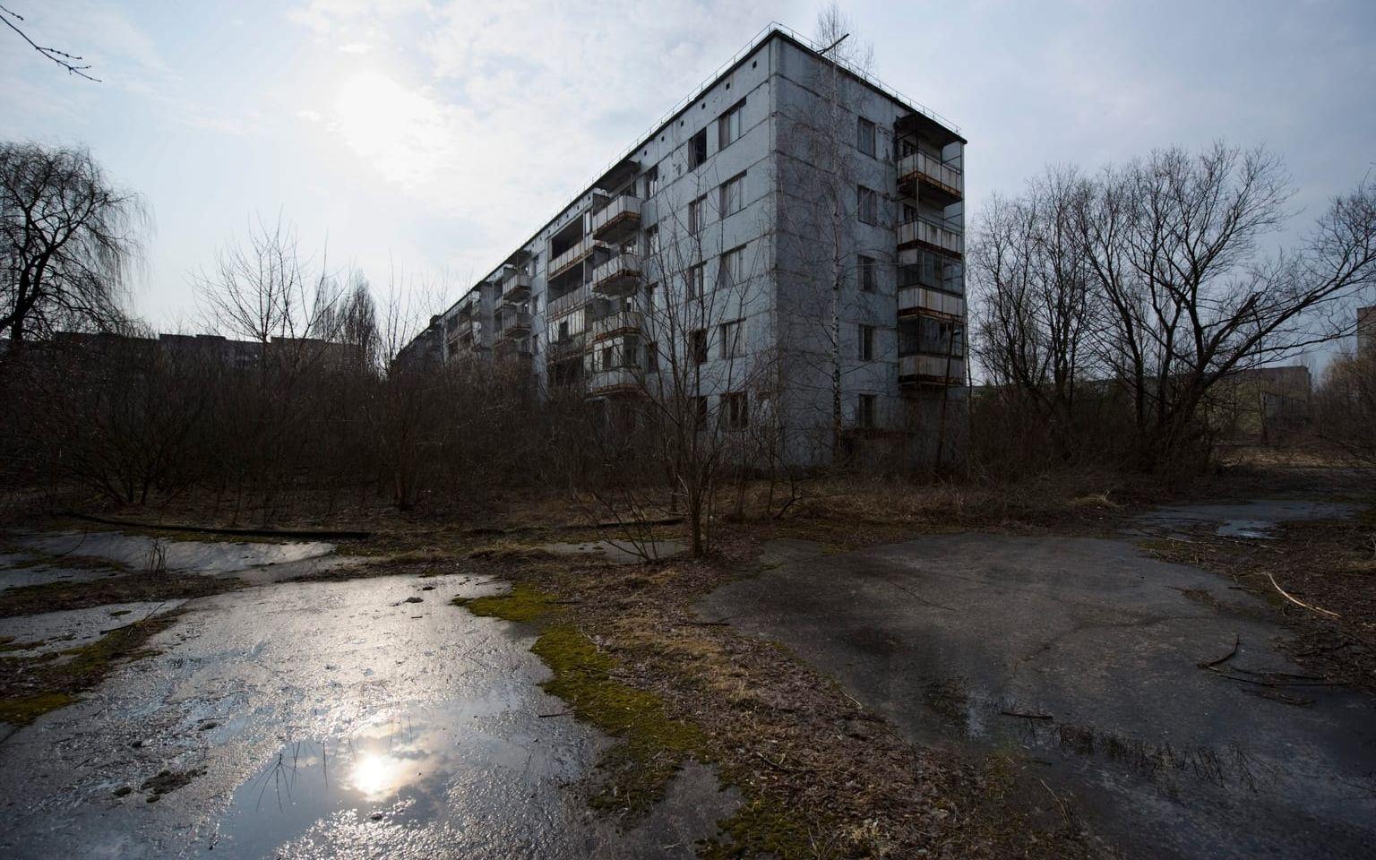 Spökstaden Pripjat som ligger cirka två kilometer från Reaktor 4 i Tjernobyl. FOTO: TT