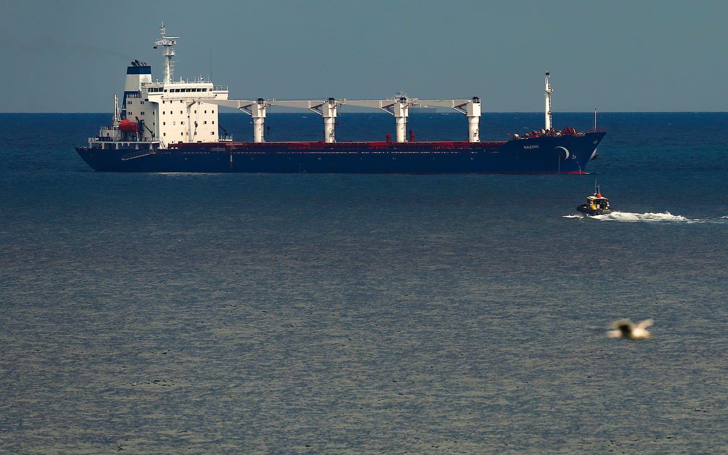 Ett Sierra Leone-flaggat fartyg lastat med spannmål kontrolleras i Svarta havet 2022. Fartyget på bilden har inget med texten att göra.