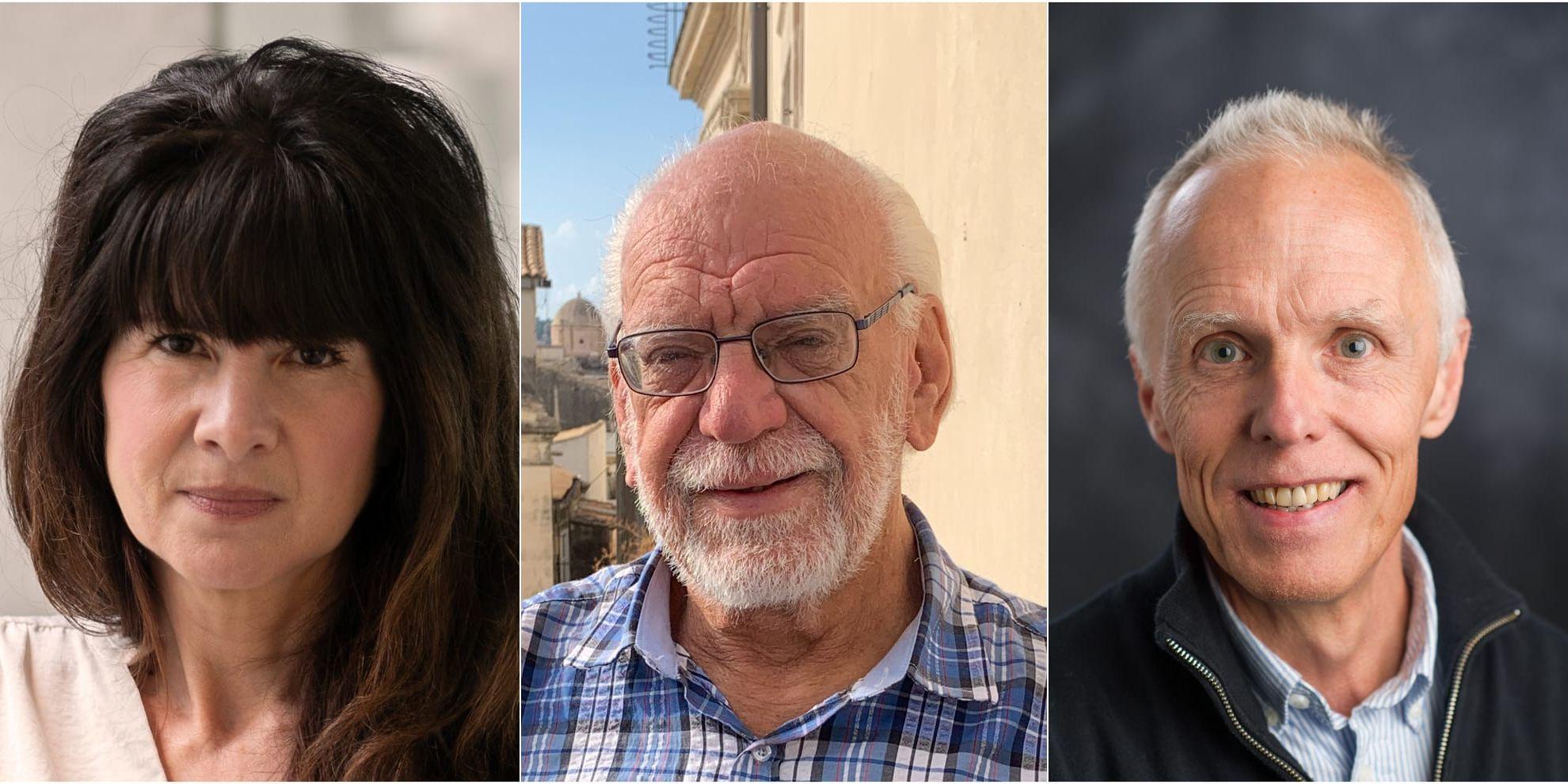 Bildkollage av Suzanne Standfast, Oxfam, Per-Olof Östergren professor em socialmedicin och Bo Burström, professor i socialmedicin Karolinska institutet.