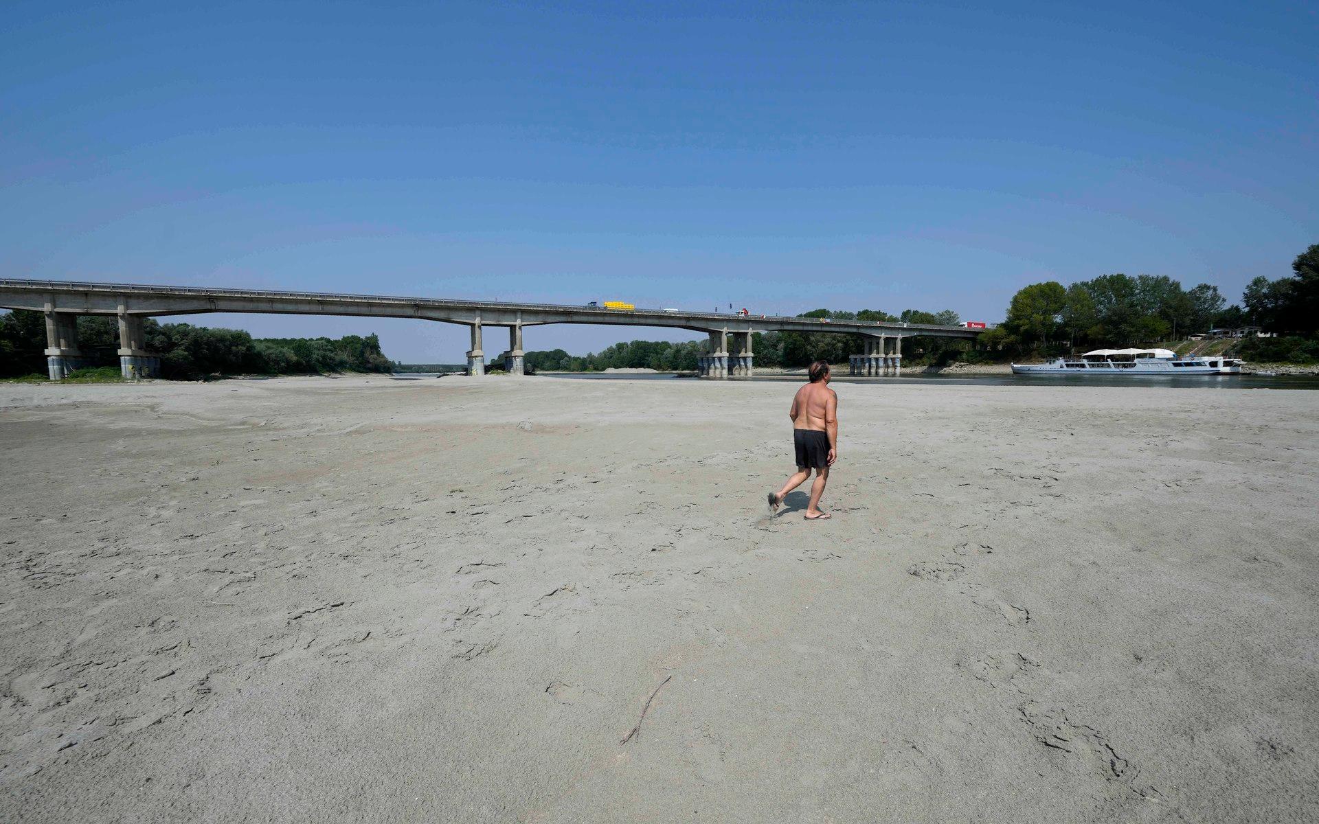 Italiens längsta flod, Po, som sträcker sig 652 kilometer genom norra Italien har torkat ut på sina ställen, vilket påverkar skörden av ris till risotto. Här syns en man gå på flodbädden i staden Boretto i juni.