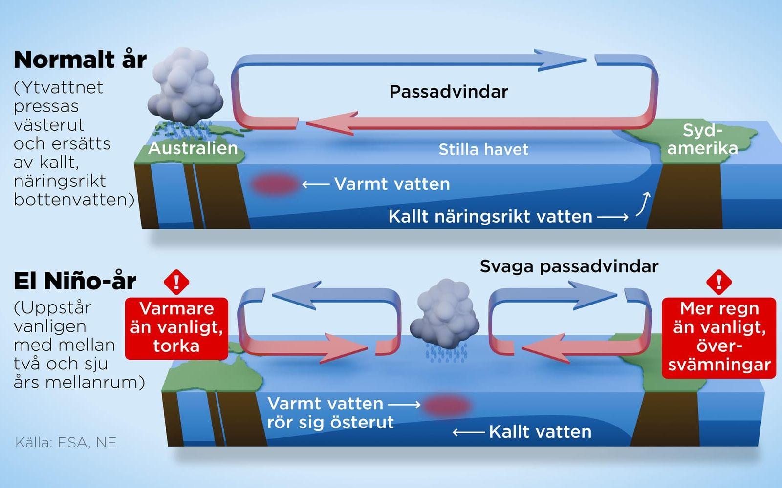 El Niño är ett väderfenomen i Stilla havet med förändringar i ytvattentemperatur och passadvindar som medför stor påverkan på fiske och jordbruk.