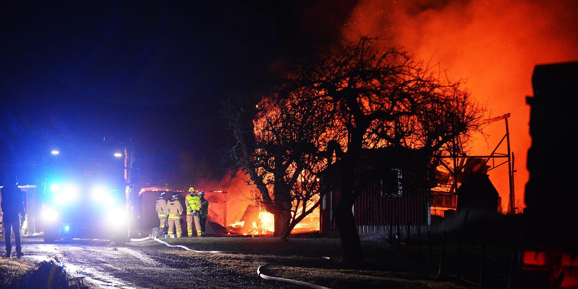 Ladugården brann ner till grunden.  Foto: Niklas Luks/TT