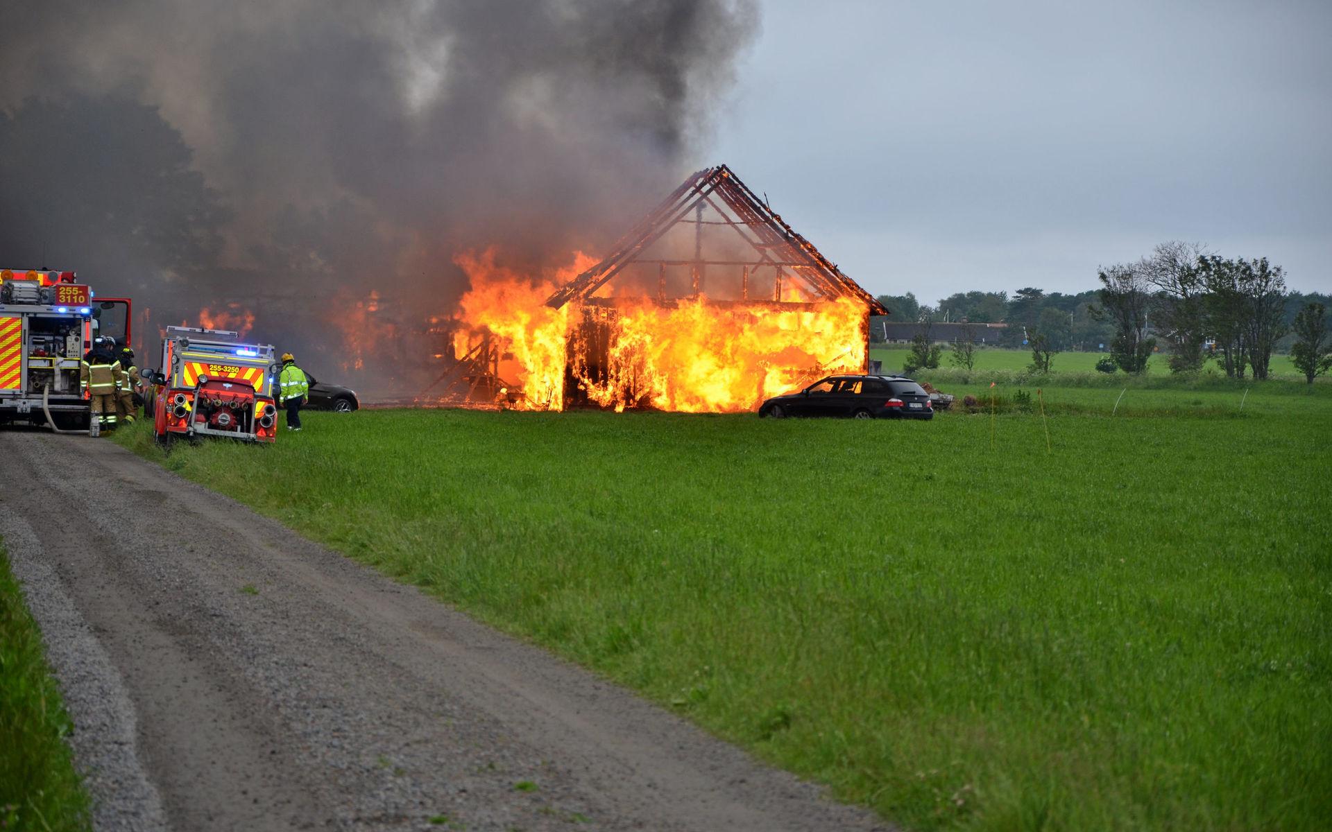 Det brinner kraftigt i en ladugård i Olofsbo på söndagsförmiddagen men enligt räddningstjänsten ska ingen ha kommit till skada.
