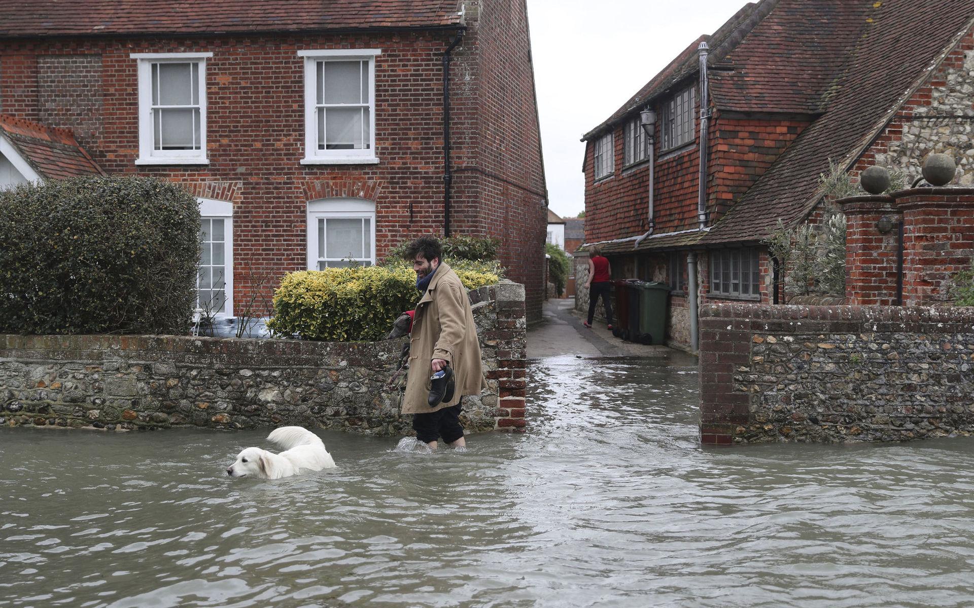 I Bosham, Sussex, England fick en man och hans hund ta sig genom vattenmassorna på sin promenad efter Ciara.