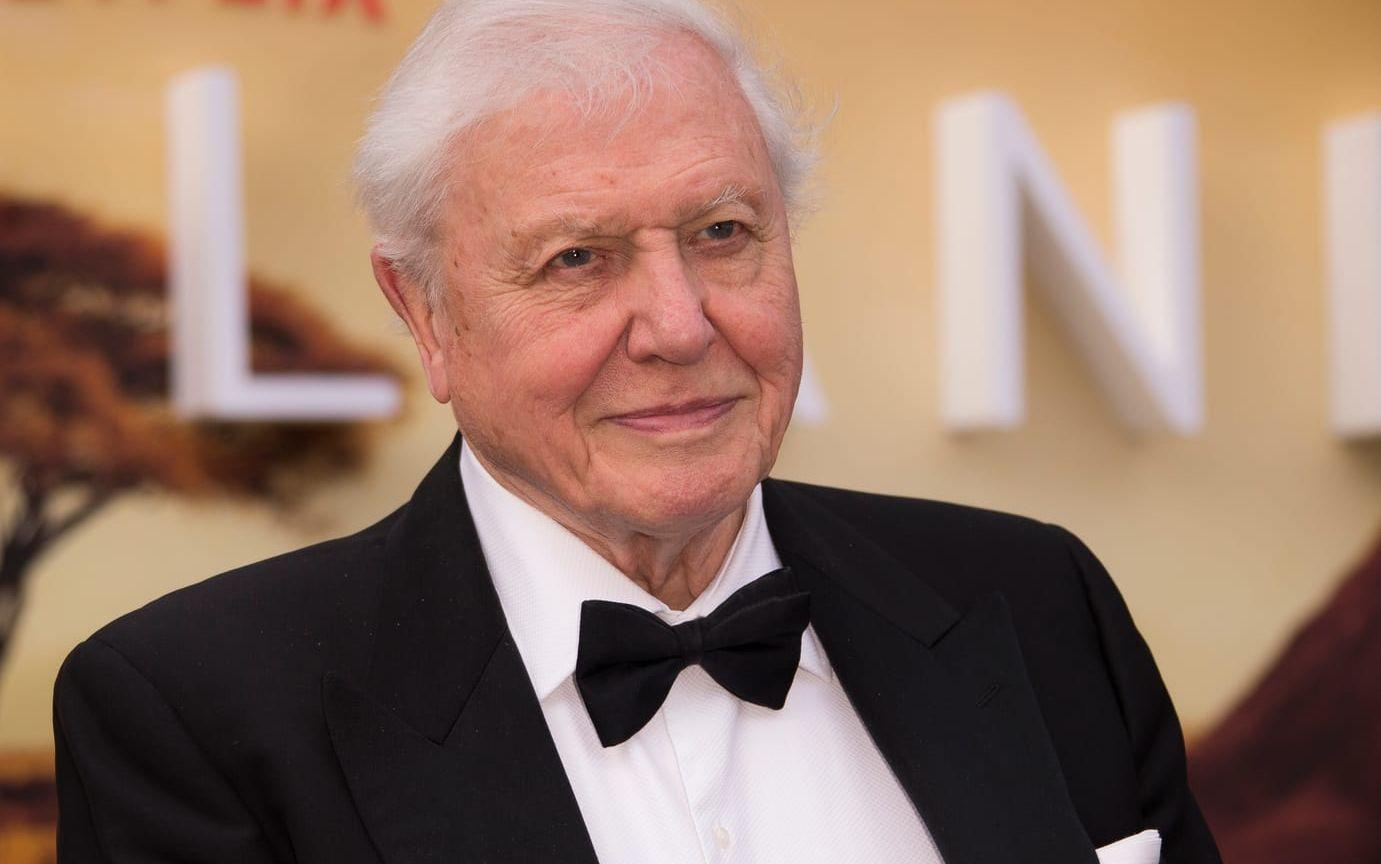 David Attenborough. Arkivbild.