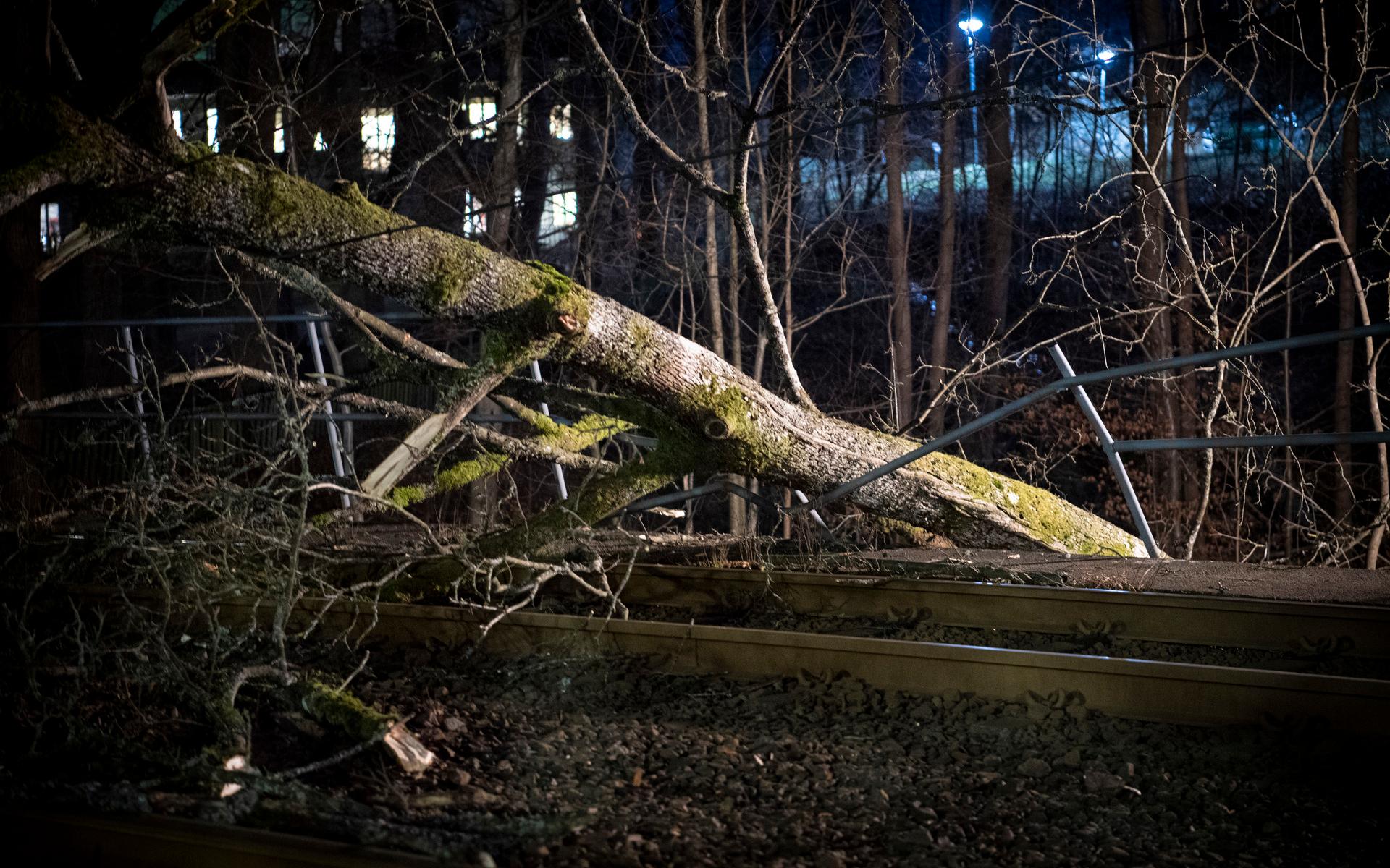 Under måndagsmorgonen hade ovädret blåst ner ett träd över spåret vid hållplatsen Ekmanska. Arbetet med att återställa skadorna beräknas ta några timmar.