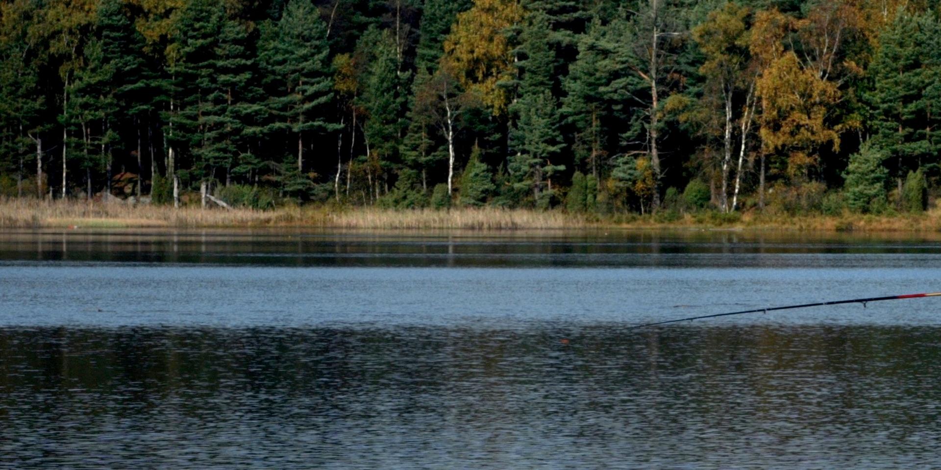 Problem med föroreningar i Stora Mölnesjön har pågått länge. Trots det fortsätter folk bada i sjön. (Arkivbild)