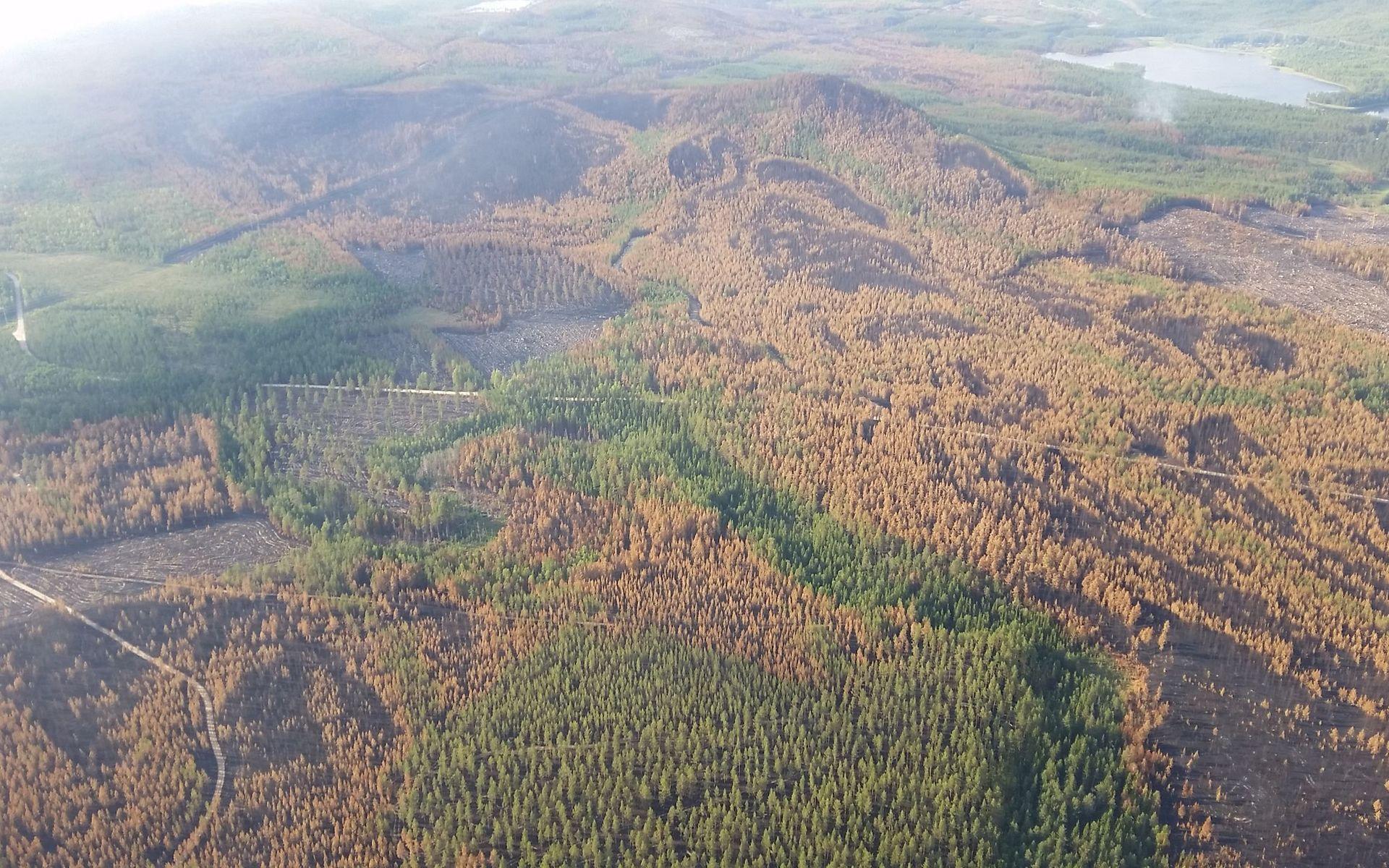 Här syns tydligt hur färgskala varierar från hyggen, stående brandskadad skog och oskadad skog. Bilden är tagen från helikopter i Kårböleområdet i Ljusdals kommun.
