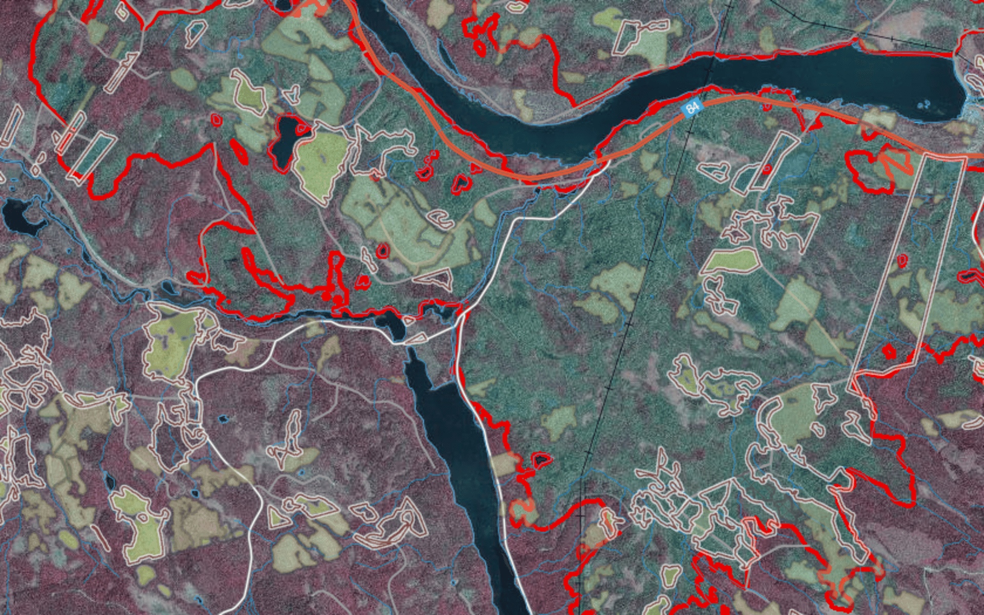 Flygbild på Kårböle i Ljusdals kommun efter skogsbranden. Området där det har brunnit är inom de röda linjerna. Orsaken till att området är grönare är att det inte finns någon fotosyntes i träden eftersom de är döda eller brända. På flygbilder får de då färgen grön. 