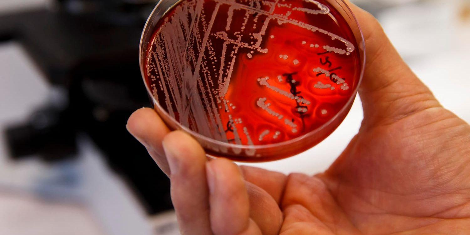 33 000 européer får varje år sätta livet till på grund av antibiotikaresistens.