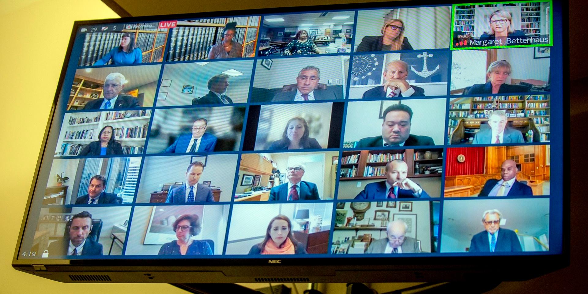 Videokonferenser via Zoom och andra verktyg – som Googles Meet eller Microsofts Teams – har blivit ett dagligt inslag i jobbet för många tjänstemän under pandemin. Arkivbild.