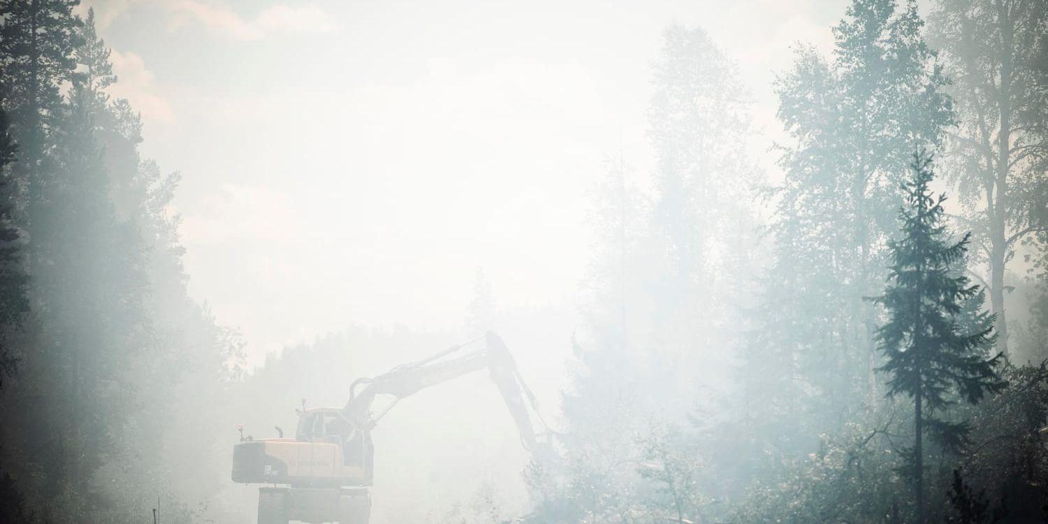 En skogsmaskin anlägger en brandgata i det branddrabbade området runt Färila.