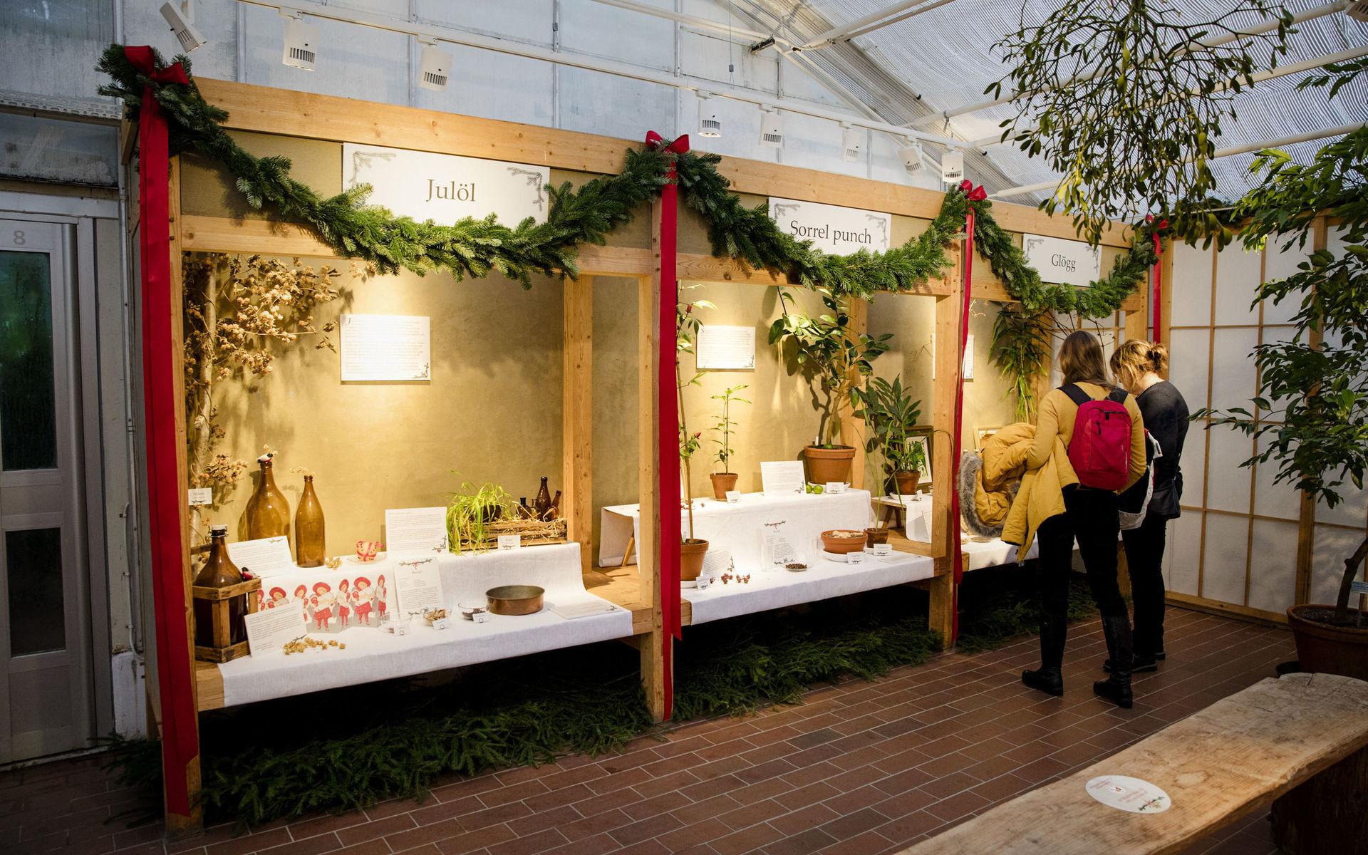 I utställningen i Botaniska växthus visas ingredienserna till sex olika juldrycker. 