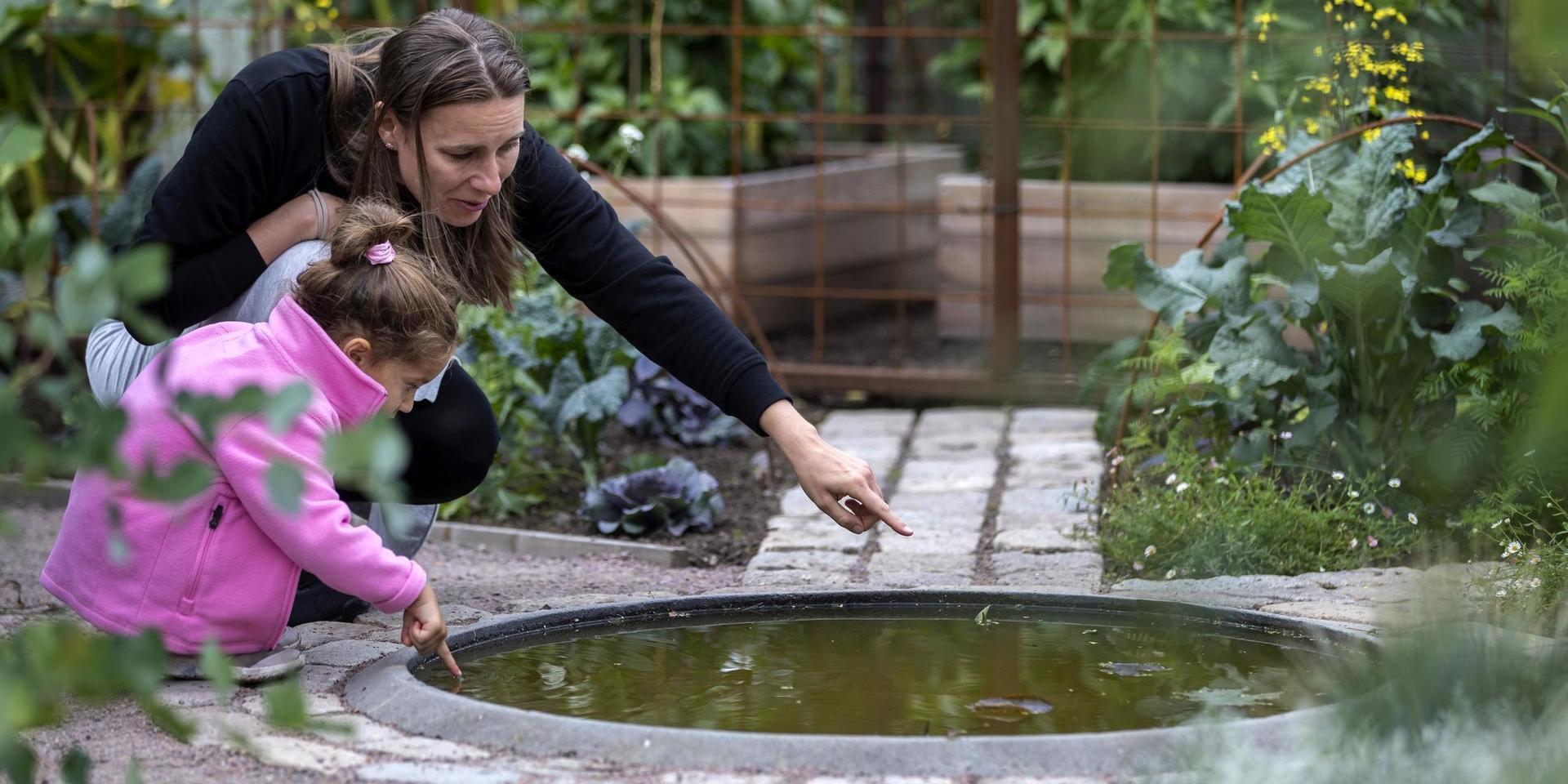Trädgårdarna har slagit besöksrekord i år. Här tittar Natalia Ala med dottern Lara på Timo Räisänens lilla damm. 