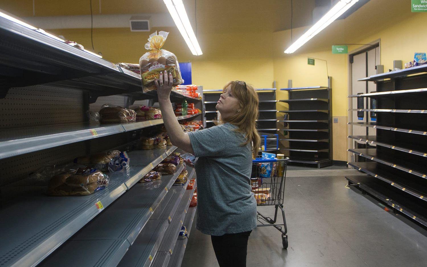 Texasbon Kim Meyer bunkrar upp med bröd inför den väntade katastrofen i Texas. Bild: TT