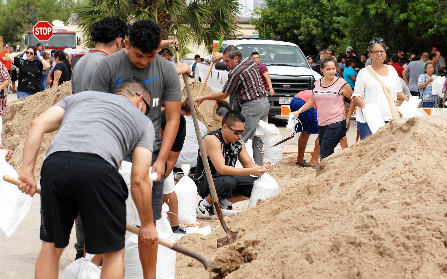 Frivilliga samlades i Brownsville, Texas, för att fylla sandsäckar inför orkanen Harvey. Bild: TT
