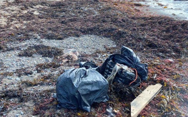 Två personer från Stockholm åtalas för synnerligen grov narkotikasmuggling och en tredje för medhjälp efter ett stort kokainfynd på en strand utanför Höganäs i Skåne.