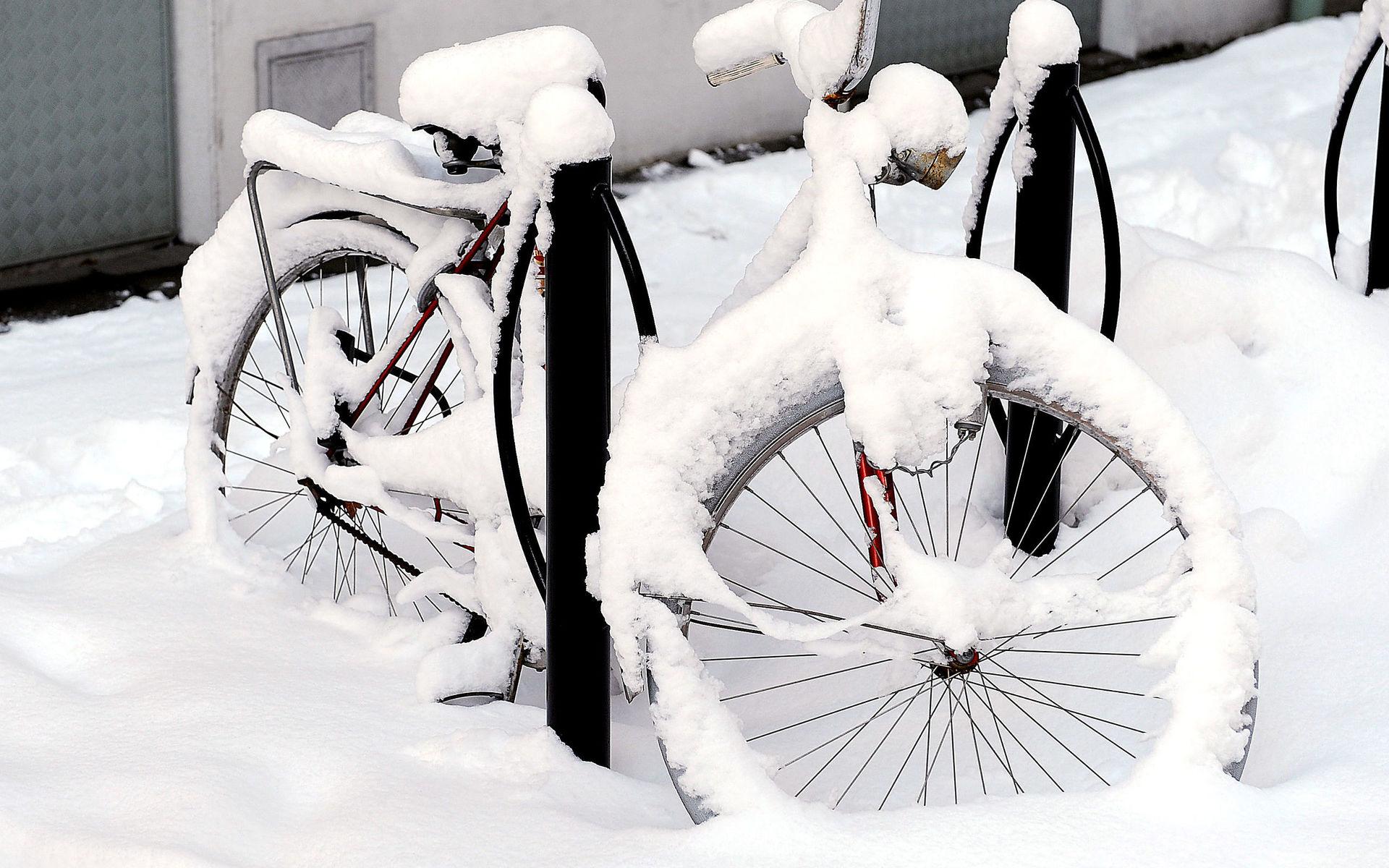 December 2010 var kall och snörik, men sannolikheten för att julen ska bli vit, är liten.