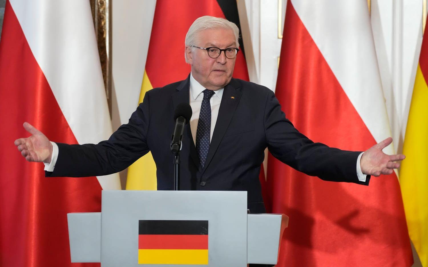 Tysklands president Frank-Walter Steinmeier under pressträffen i tisdags.